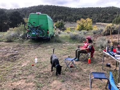 Danielle and Minnie the dog outside by the green van with bicycles strapped to the back