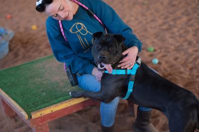 Myrtle the dog being petted by a person while hugging her legs