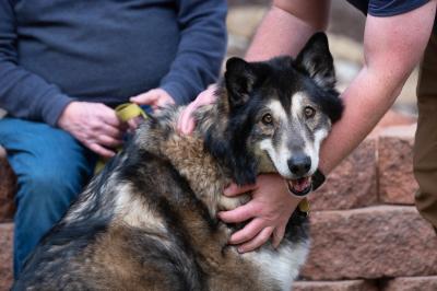 Person holding Shadow the dog's leash sitting on a stone wall and another person with arms hugging him