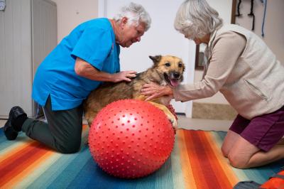 Spearmint Sally getting physical therapy