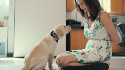 Eye contact between a person and puppy