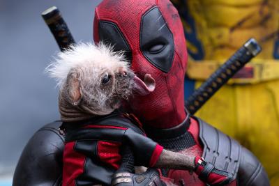 Dogpool licking the face of Deadpool