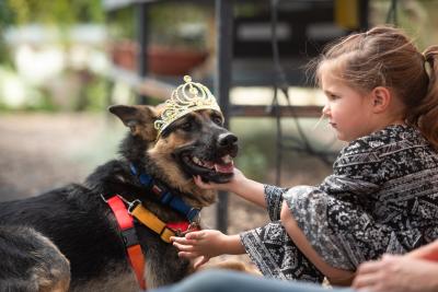 Kona the dog wearing a tiara lying next to a child