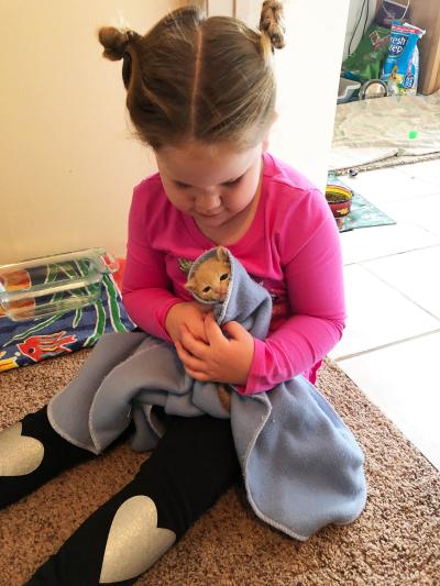 Child cradling a foster kitten in a blanket