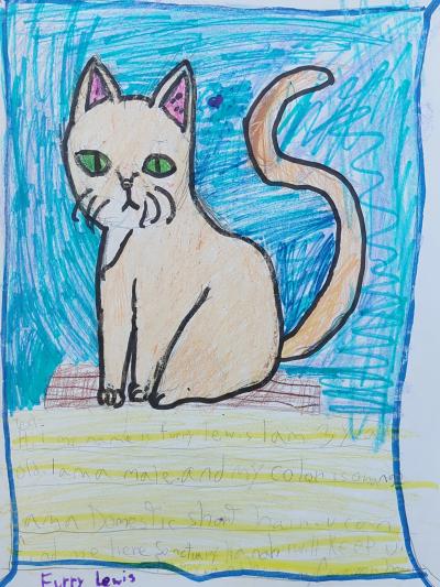 Child's drawing of Furry Lewis the cat