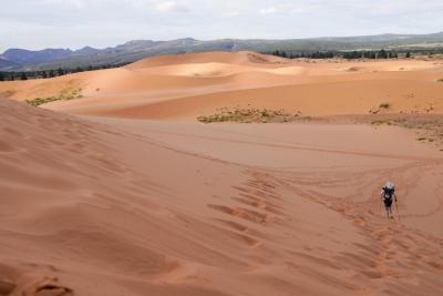 Person running in the Grand to Grand Ultra in the sand