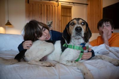 Gavin and his twin brother Drake on a bed during a sleepover with Blair the dog