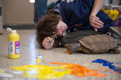 Gavin Spencer leaning down to watch a tortoise doing some painting