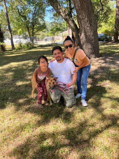 Chase the dog with his new family, outside under a tree