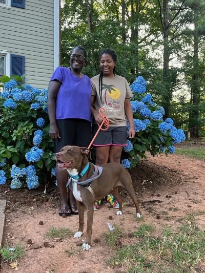 Pair of people outside with Farrah, the brown and white dog on a leash in front of some blue flowers