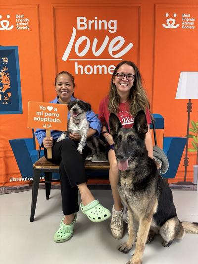 Mascarpone the senior dog being adopted by two people, with another dog