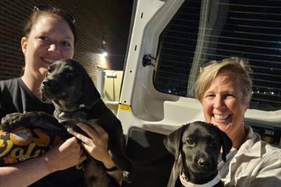 Two people holding puppies in front of a transport vehicle