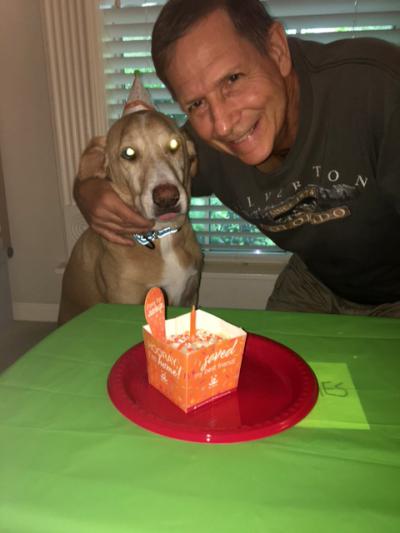 Fergus the dog wearing a small hat celebrating his adoption with a smiling person and Best Friends cake