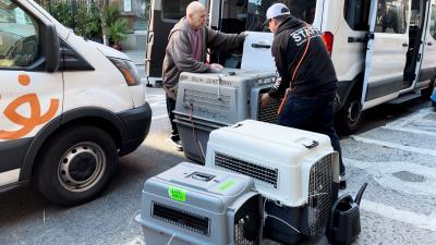 People moving crates containing animals from the transport following Hurricane Milton