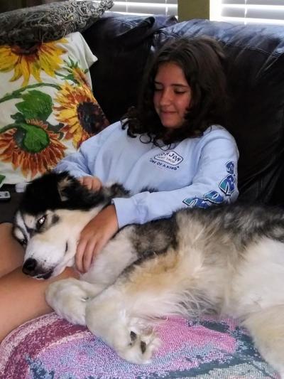 Person snuggling on a couch with Hank the dog