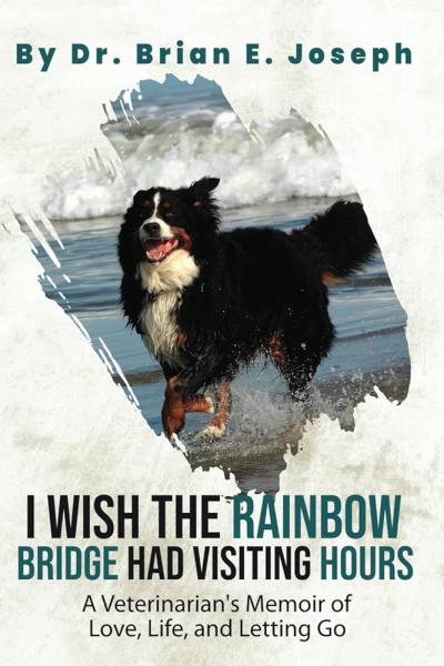 Cover of the book, "I Wish the Rainbow Bridge Had Visiting Hours"