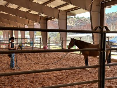 Trainer doing a demonstration of therapeutic rehab with a horse