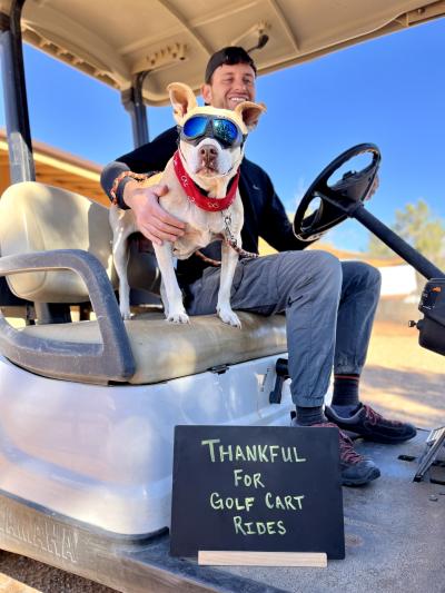 Dog wearing sunglasses in a golf cart with a sign that says, Thankful for golf cart rides