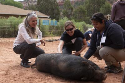 Best Friends co-founder Jana de Peyer with workshop attendees and a pig