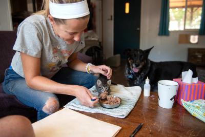 Janna feeding one of the dragon kittens from a spoon with a dog in the background