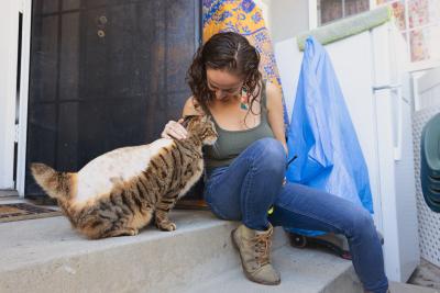 Person petting Jasper the cat who is in a sunbeam