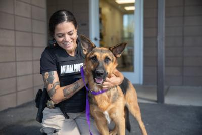 Animal control officer with a shepherd