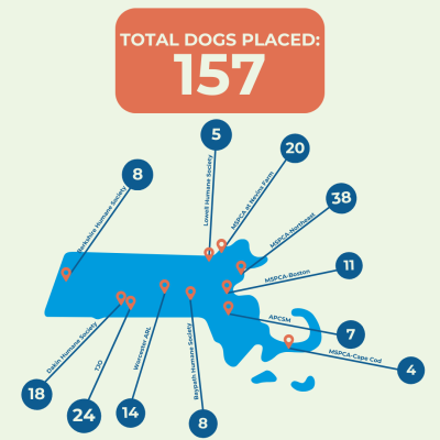 Graphic showing 157 dogs adopted by the various shelters