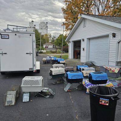 A bunch of kennels and live traps for community cats outside a trailer and garage