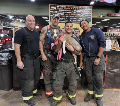 Group of firefighters holding a dog