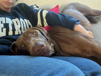 Spud lying with his head in Erin's lap