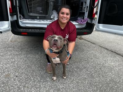 Jakie with a dog transported to Kanab