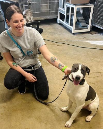 Person squatting on the floor with Pluto the puppy on a leash