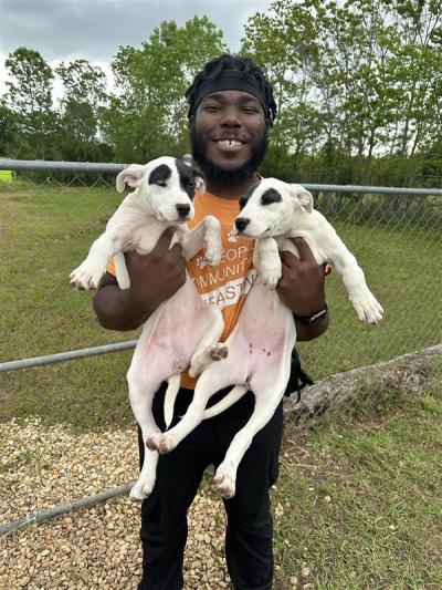 Smiling person holding two black and white puppies