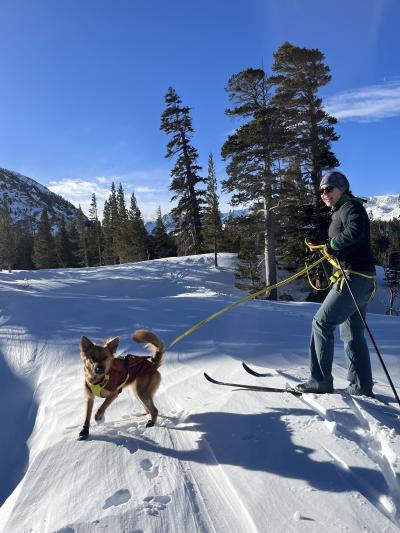 Kimchi the dog outside on a leash with a person who is on skis in the snow