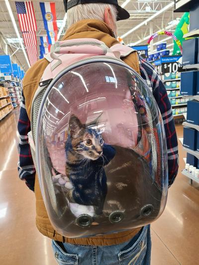 Eeyore the kitten on Allen's back in the bubble backpack