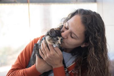 Person kissing the head of a calico kitten