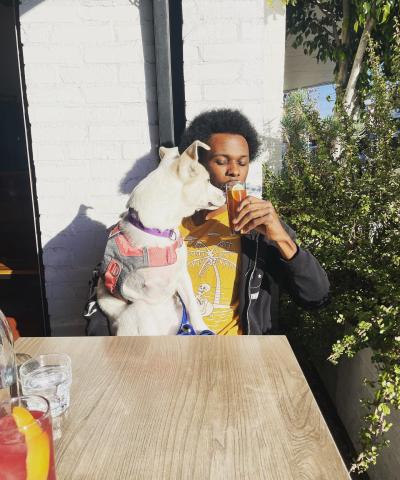 Elle the puppy sitting at an outdoor table with a person who is drinking a drink