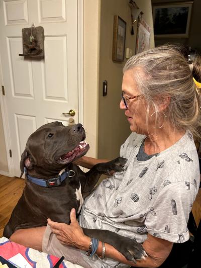 Gravy the dog with front legs up on a person's lap