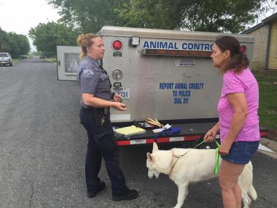 Animal control officer outside talking to a person with a dog on a leash