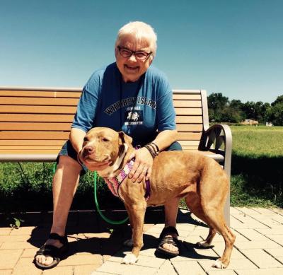 Person sitting outside on a bench with a dog on a harness and leash