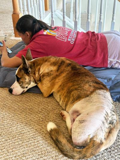 Kylie LaVigne lying on the floor next to Koda the dog, following his surgery