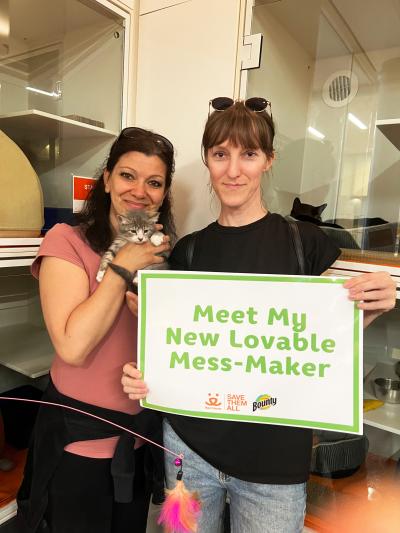 Kitten being held by two people who have a sign (Meet my new lovable mess-maker) at the National Adoption Weekend