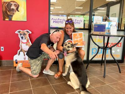 Clyde the German shepherd dog being adopted