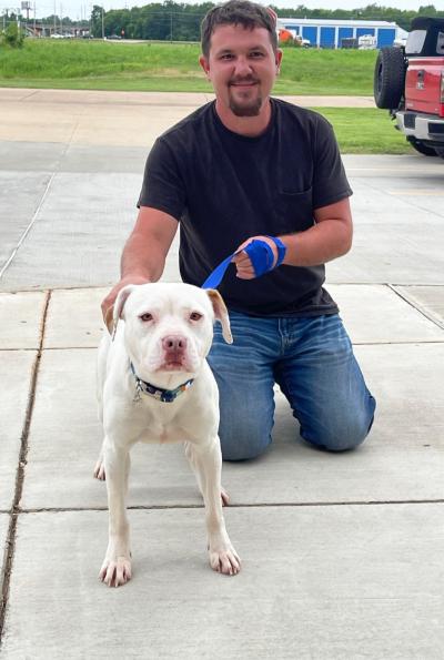 Miss Rosey the white dog being adopting by a smiling person