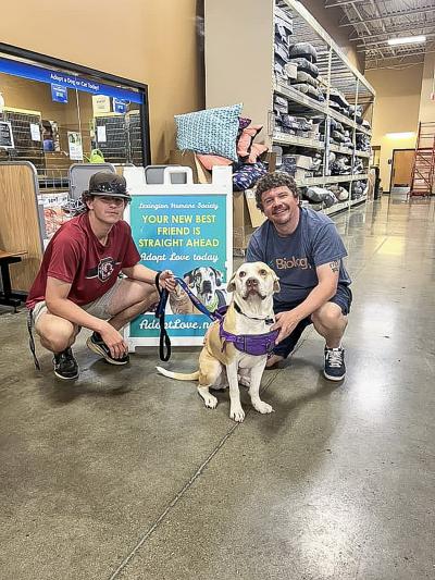 Eminem the dog being adopted