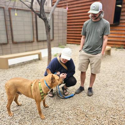 Magnus the dog outside on a leash with two people