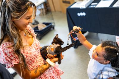 People inside playing with a kitten at the Best Friends Super Adoption in Northwest Arkansas