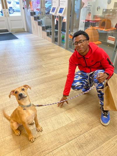 Small brown dog on the end of a leash being held by his adopter at the Best Friends Lifesaving Center in New York City