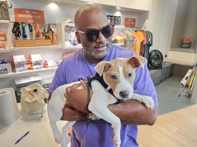 Person wearing sunglasses holding Coco Puff the puppy