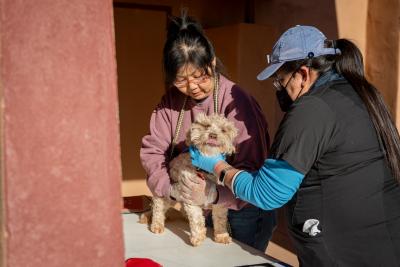 Two people examining a small dog at the Best Friends Mobile Clinic at the Navajo Nation